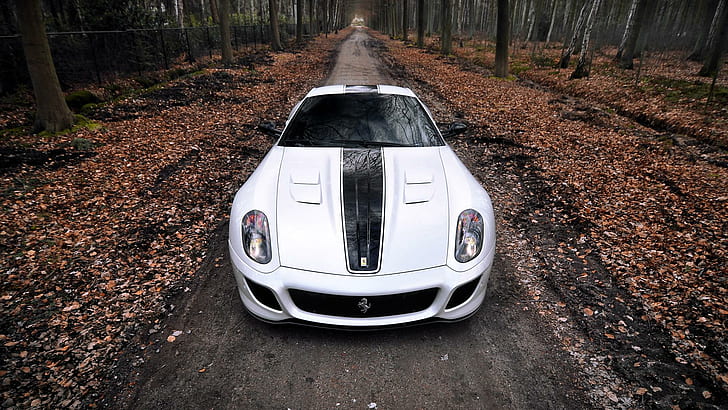 Ferrari 599 GTO, the super sports car, HD wallpaper