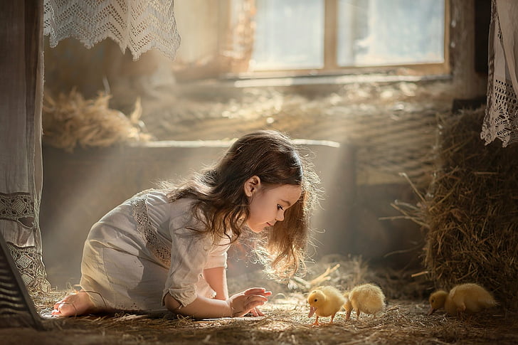 Photography, Child, Baby Animal, Chick, Girl, Little Girl, Sunbeam, HD wallpaper