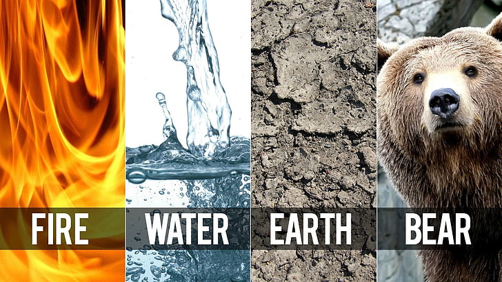 fire water earth bear collage illustration, bears, elements, air, HD wallpaper