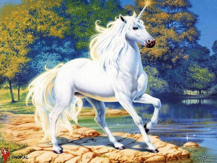 HD wallpaper: white unicorn illustration, fantasy art, animal themes, horse  | Wallpaper Flare