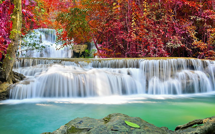 Autumn waterfall, red leaf trees and waterfalls, river, flow, HD wallpaper