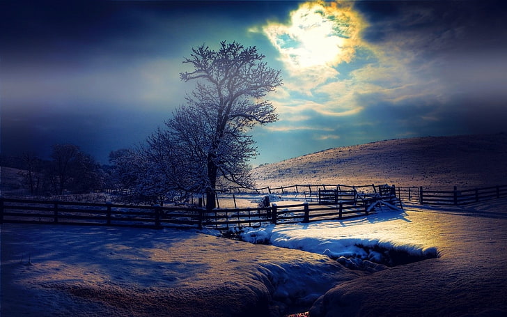 nature, landscape, moonlight, winter, snow, mist, fence, evening
