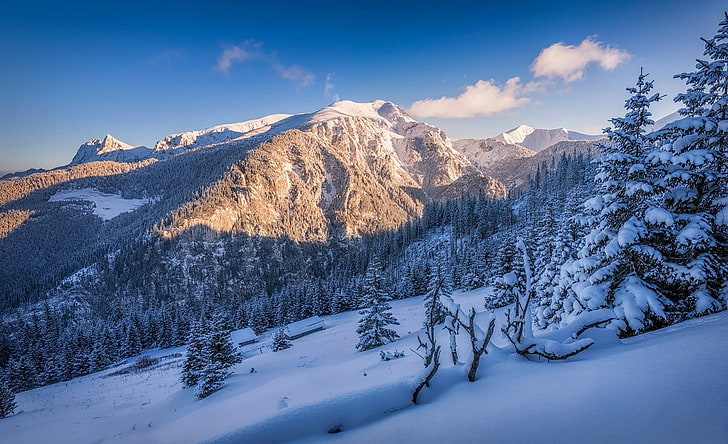 nature, landscape, winter, snow, mountains, forest, sunset, HD wallpaper