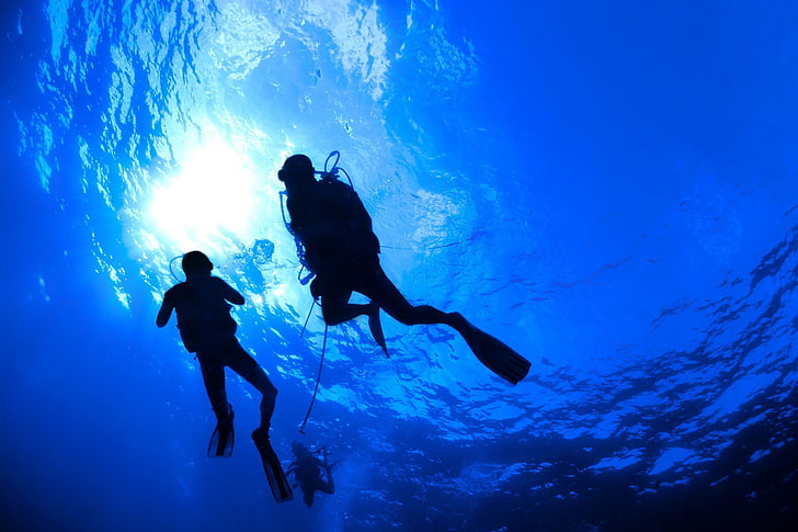 diver, diving, ocean, scuba, sea, underwater