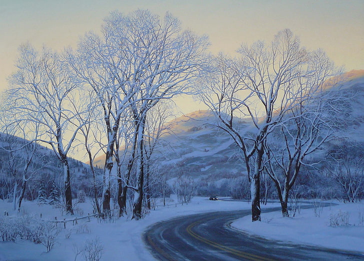 bare trees, winter, road, car, machine, snow, landscape, mountains