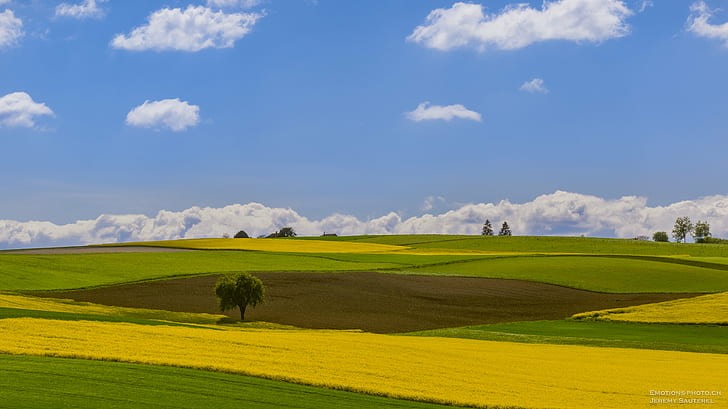 green grass field under cloudy sky at daytime, Patchwork, yellow  sky