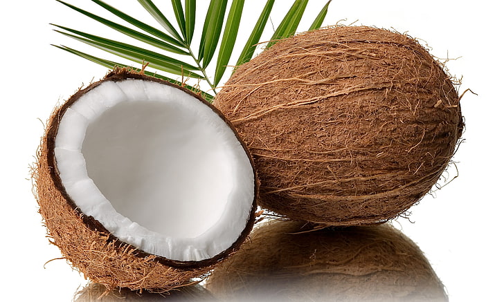 coconut fruit, half, leaves, nature, food, tropical Climate, freshness