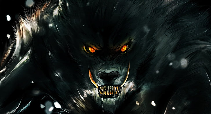 black wolf illustration, eyes, look, darkness, teeth, rage, grin, HD wallpaper
