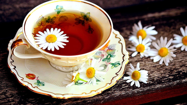 tea, daisies, chamomile, hot, home, cup, porcelain, food, HD wallpaper