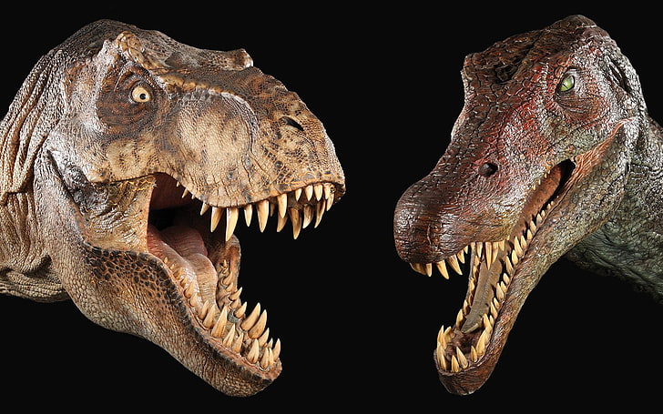 two brown dinosaurs, Animal, Extinct, Old, Tyrannosaurus Rex, HD wallpaper