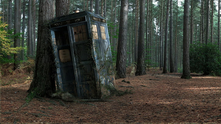 TARDIS, wood, Doctor Who, decay