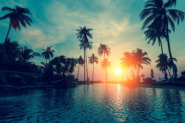HD wallpaper: Sunset, Tropical beach, Palm trees | Wallpaper Flare