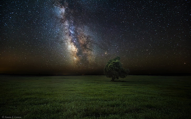 oasis, grass, nature, stars, night, star - space, astronomy