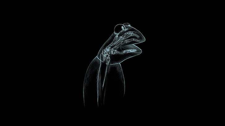 cartoons abstract xray sesame street kermit the frog solid simplistic simple puppet 1920x1080 wal Animals Frogs HD Art, HD wallpaper