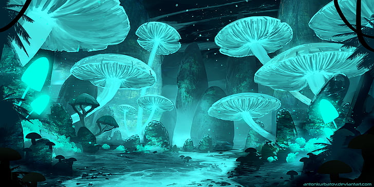 Mushroom Forest Fantasy Art HD Artist 4k Wallpapers Images Backgrounds  Photos and Pictures
