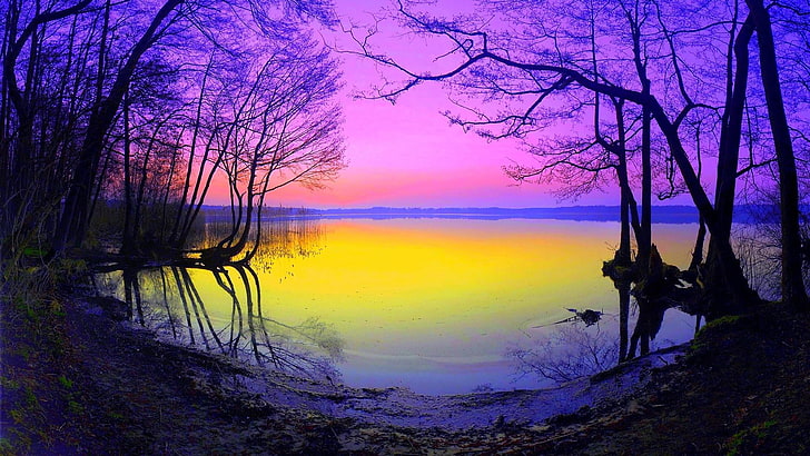 nature, reflection, sky, water, lake, branch, effect, pastel, HD wallpaper
