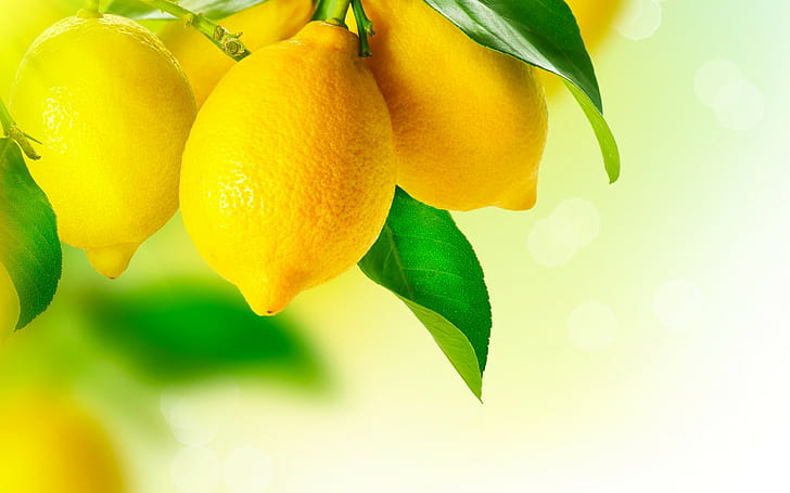 lemons, fruit, HD wallpaper