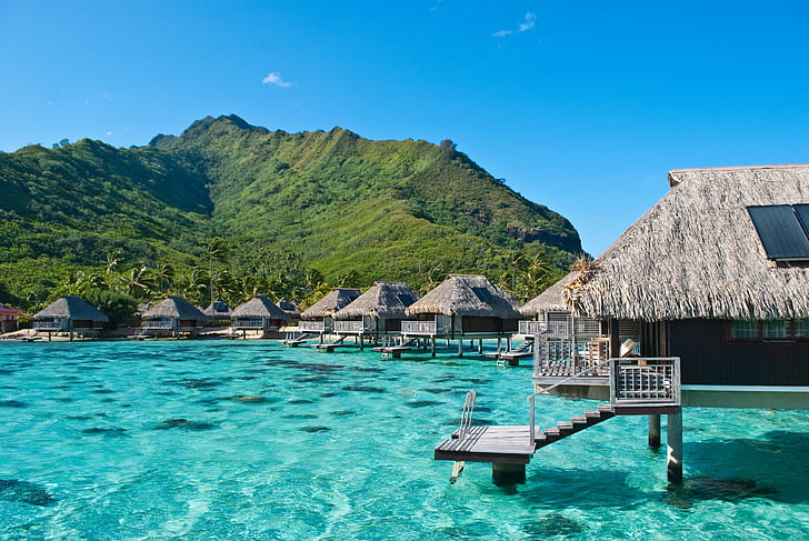 bungalovy, exotic, french, hotel, moorea, ocean, polynesia, HD wallpaper