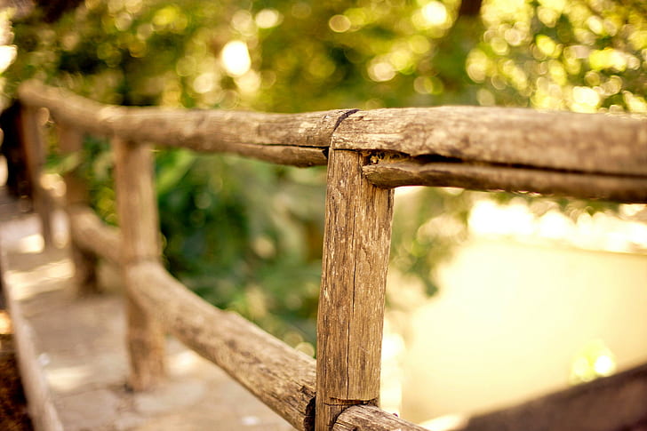 Wooden fence, bokeh, trees, herbs
