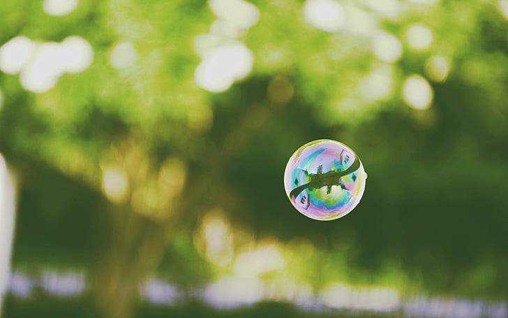bubbles, green, nature, HD wallpaper