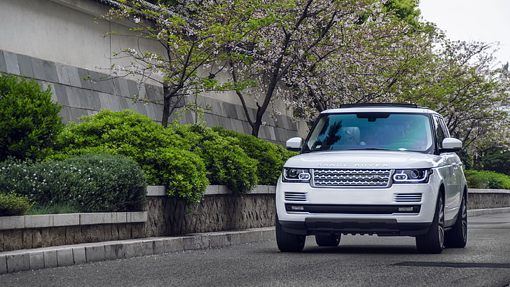 white Land Rover SUV, range rover, car, land Vehicle, transportation, HD wallpaper