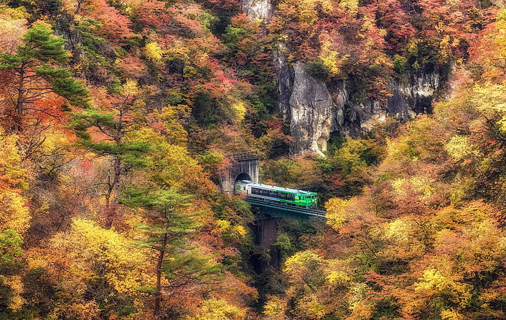 green train, landscape, fall, nature, HDR, autumn, tree, plant, HD wallpaper