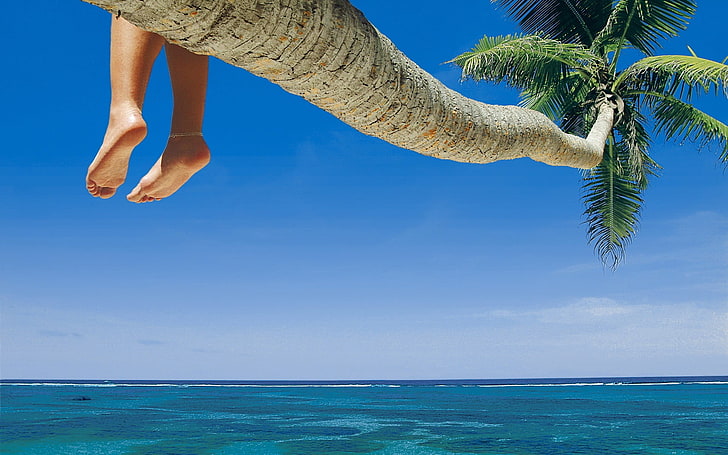 coconut palm, beach, feet, water, sea, sky, tree, land, tropical climate