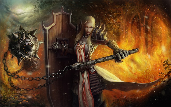 diablo 3: reaper of souls, women, sword, chain, crusader, armored, HD wallpaper