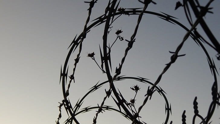 barbed wire, sky, no people, low angle view, safety, silhouette