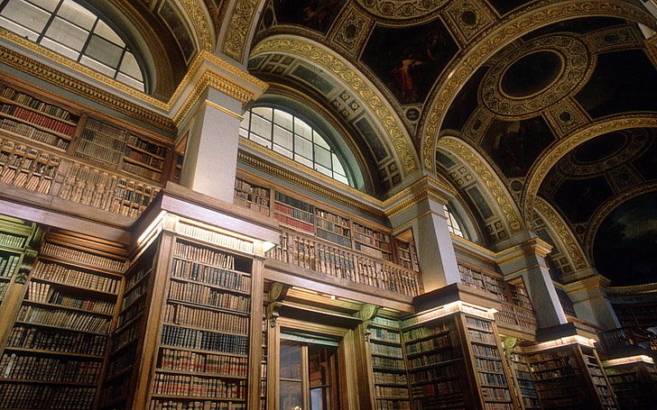 brown wooden bookshelf, library, shelves, arch, interior, pillar