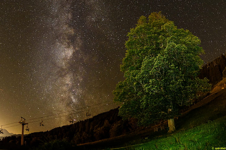 green tree standing on lawn under starry sky, milky  way, night, HD wallpaper