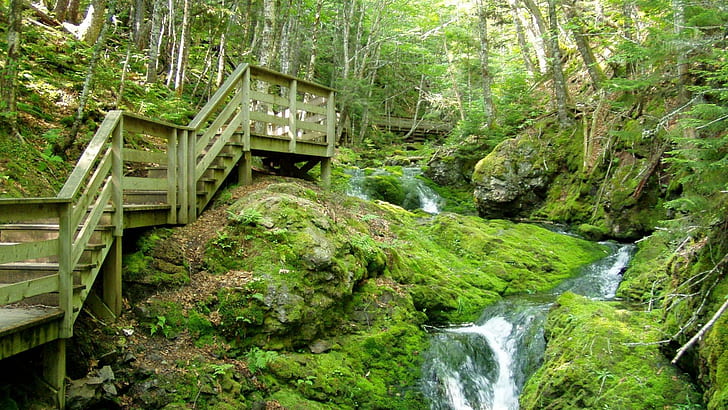 Stairs Over Falls In Fundy Np Canada, mountain, forest, nature and landscapes, HD wallpaper