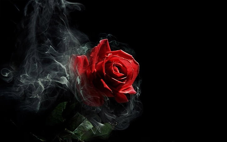 HD wallpaper: beautiful, black, dark, fantasy, gothic, red, rose, smoking |  Wallpaper Flare