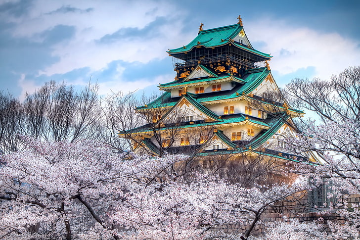 teal and white pagoda house, city, japan, temple, sky, spring, HD wallpaper