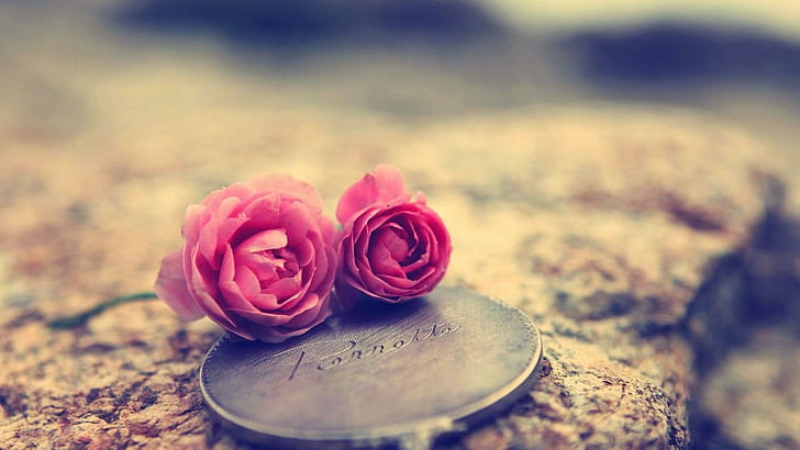 3840x800px | free download | HD wallpaper: Heart Touching Love, rose |  Wallpaper Flare