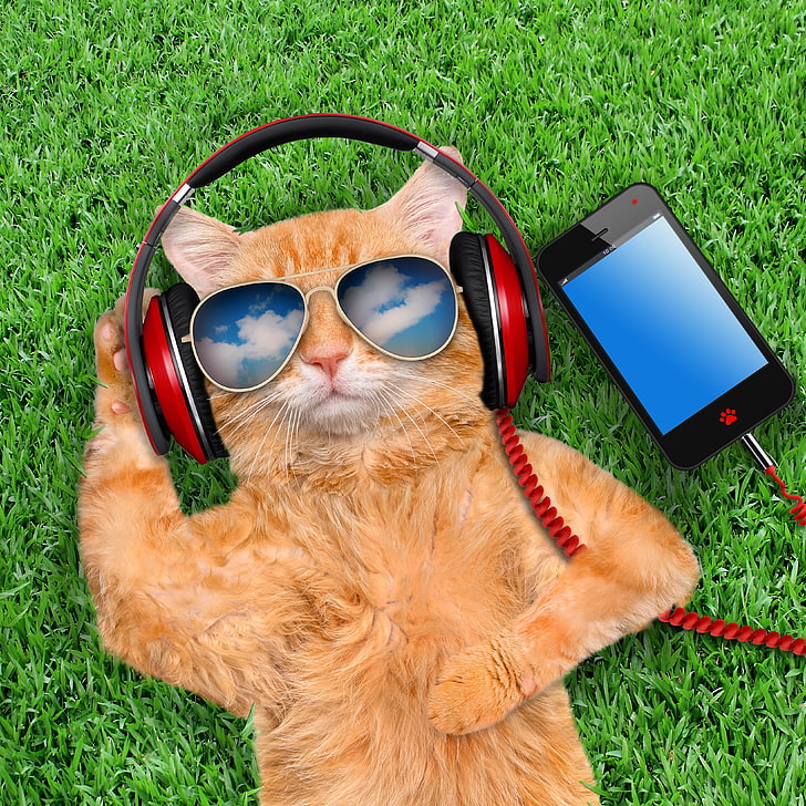 red corded headphones, grass, cat, glasses, telephone, smart Phone