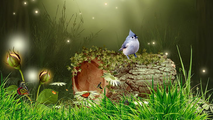 Bird In The Forest, lights, enchanting, grass, flowers, trees, HD wallpaper