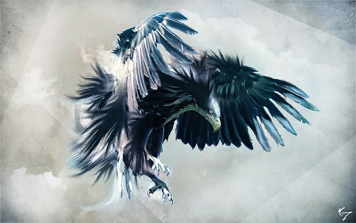 bird of prey, HD wallpaper