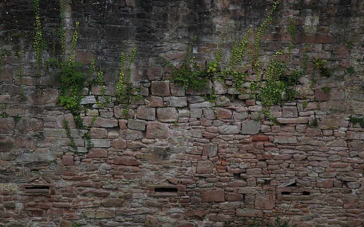 Man Made, Wall, Heidelberg Castle