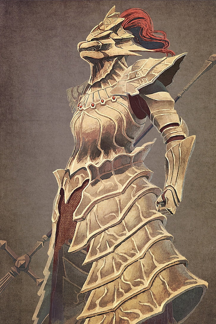 knight holding spear digital wallpaper, Dark Souls, ornstein, HD wallpaper