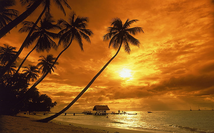 Costa Rica Sunset Red Sky Sandy Beach Palm Hd Desktop Wallpaper High Quality Resolution 3840×2400, HD wallpaper