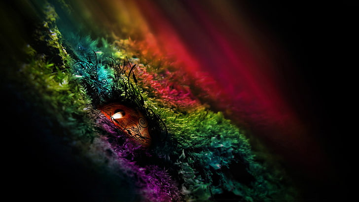 green and multicolored textile, eyes, multi colored, close-up, HD wallpaper
