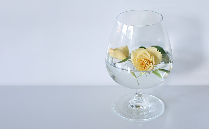 Glass Of Roses, Aero, White, Flower, Yellow, Deco, transience, HD wallpaper