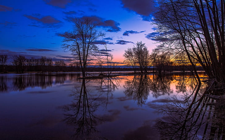 Canada Ontario, lake reflection, trees, sunset, beautiful scenery, HD wallpaper
