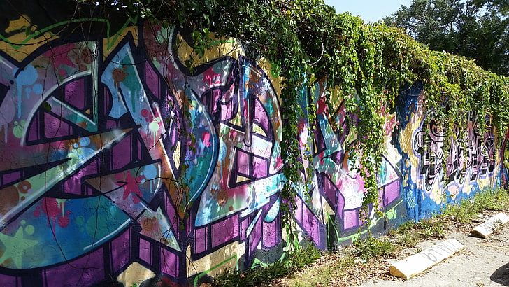 purple, green, and red floral textile, wall, graffiti, colorful