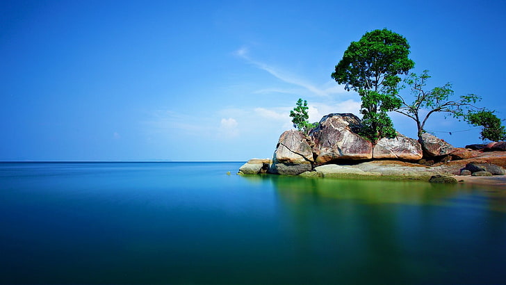 brown rock near seashore at day time, trees, nature, alone, landscape, HD wallpaper