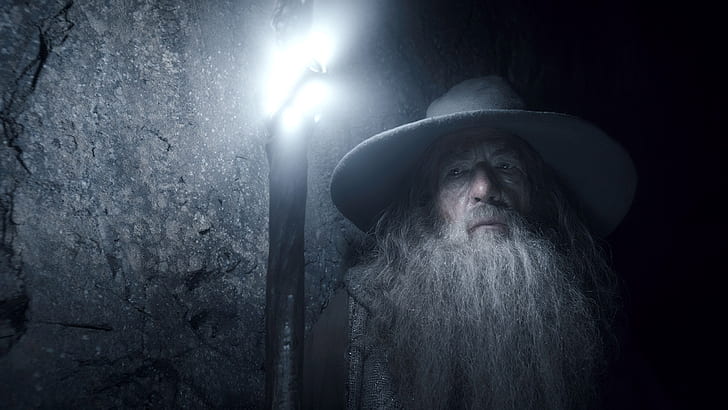 The Lord of the Rings The Hobbit Gandalf Wizard Ian McKellen Light Beard HD, albus dumbledore, HD wallpaper
