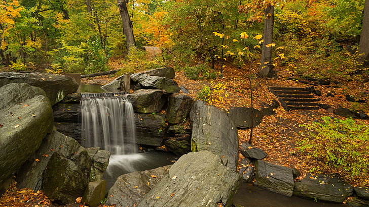 8k quality, tree, plant, water, forest, nature, autumn, rock, HD wallpaper
