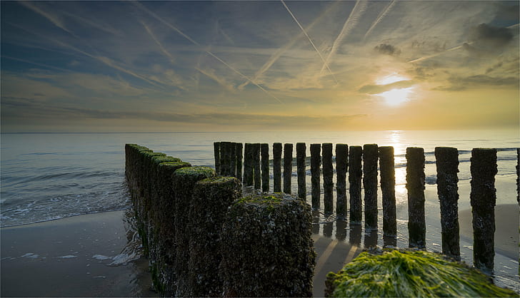 pillars on sea shore during daytime, der, Himmel, ILCE-7M2, Netherlands, HD wallpaper