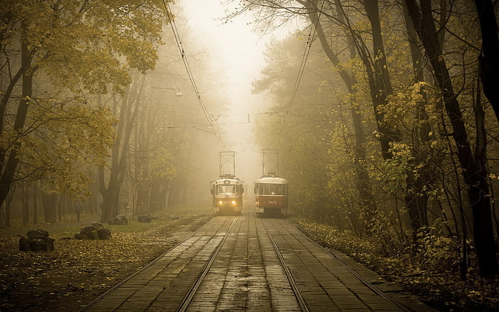 city, Russia, tram, mist, HD wallpaper